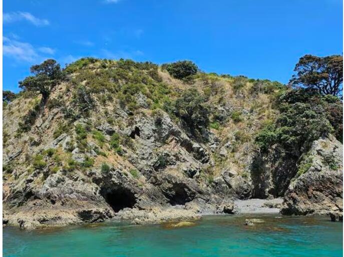 Waiheke Island கடற்கரையில் 30 மீட்டர் உயர பாறையில் இருந்து விழுந்து உயிர் தப்பிய பெண்...!!